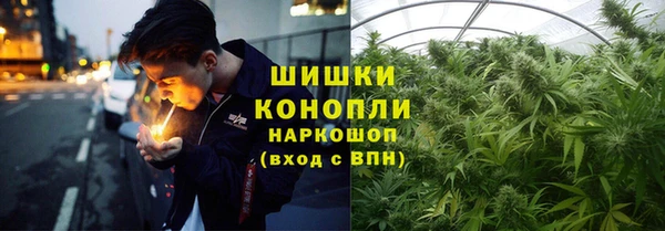 Альфа ПВП Аркадак