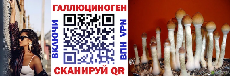 Галлюциногенные грибы прущие грибы  Сенгилей 